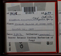 Image Associated With the Occurence